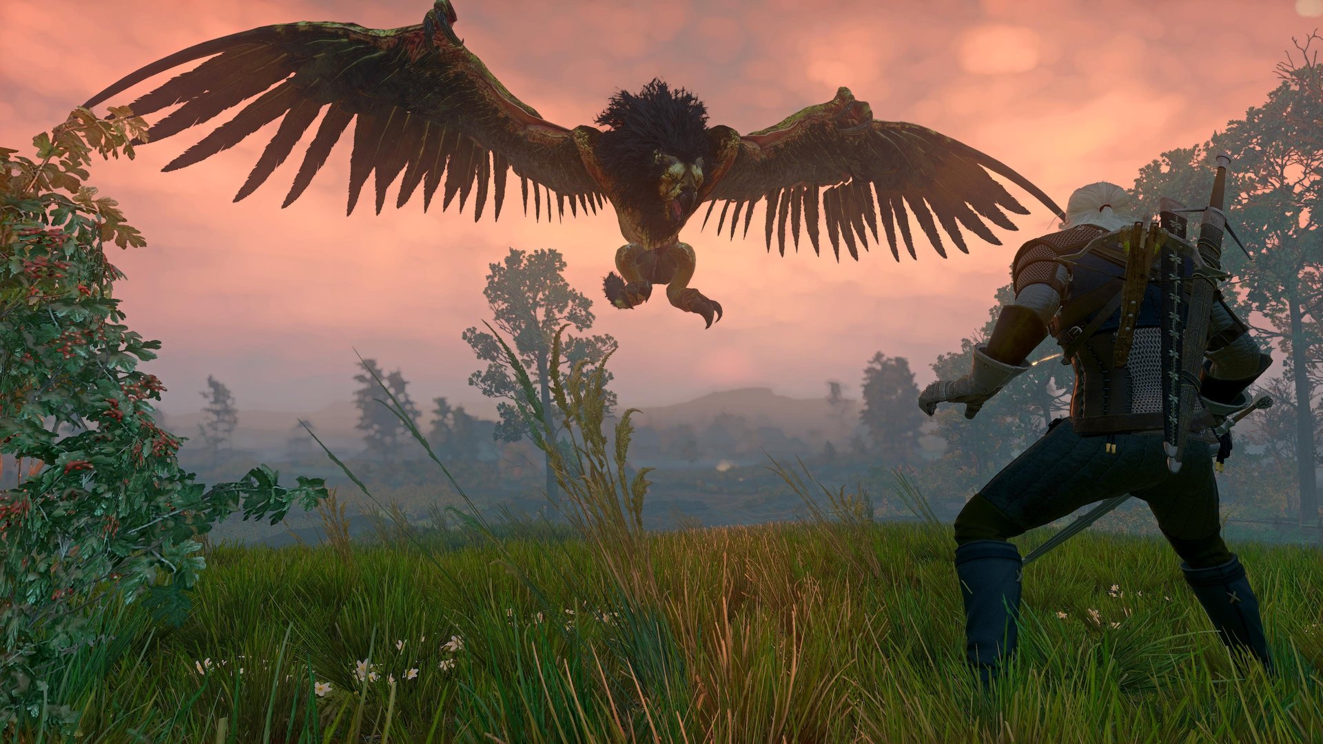 巫师3：狂猎 豪华版 截图10