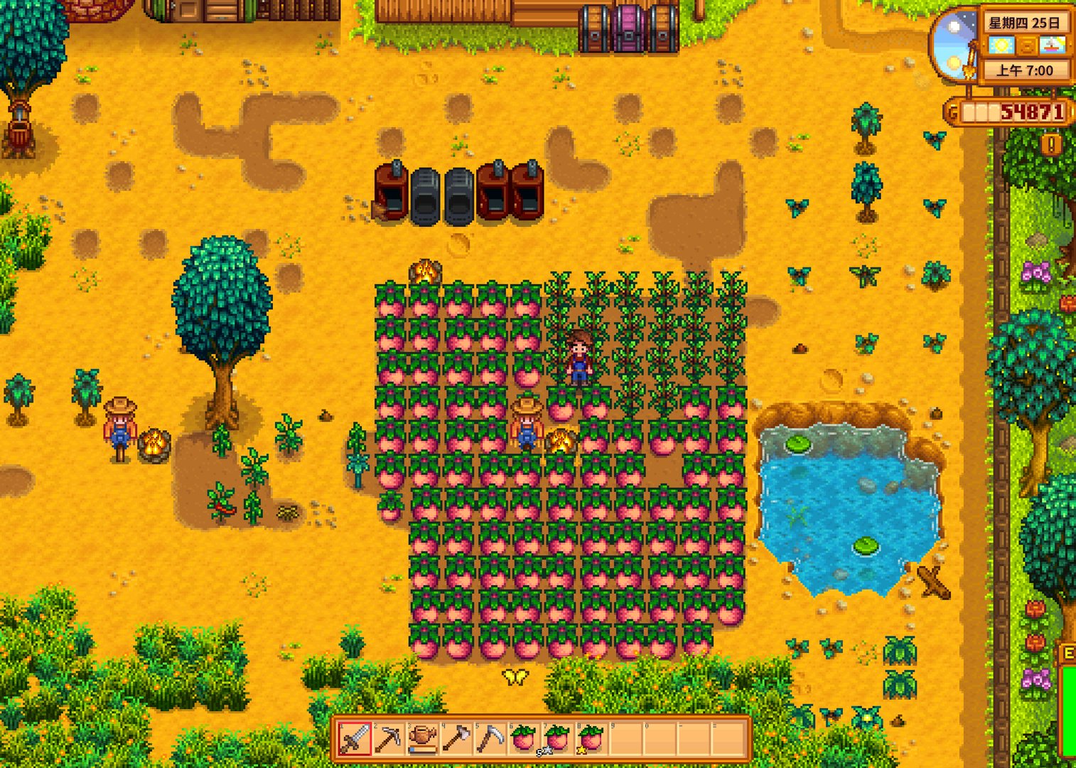 骑马与砍杀2 完整版 截图11